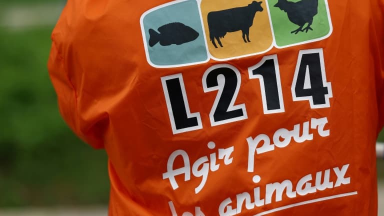 L'association animaliste L214 a porté plainte contre Lidl France et deux élevages porcins partenaires du distributeur, dénonçant avec de nouvelles images choc des cas de maltraitance animale et une "tromperie du consommateur"