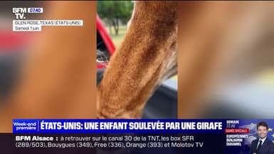 États-Unis: les images d'une girafe qui soulève une enfant dans un parc animalier