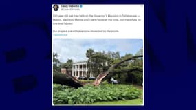 Un chêne centenaire s'est écrasé sur le manoir de Ron DeSantis en Floride à cause de l'ouragan Idalia le 30 août 2023
