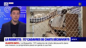 Alpes-Maritimes: 117 cadavres de chats enterrés et stockés dans un congélateur découverts à La Roquette-sur-Siagne
