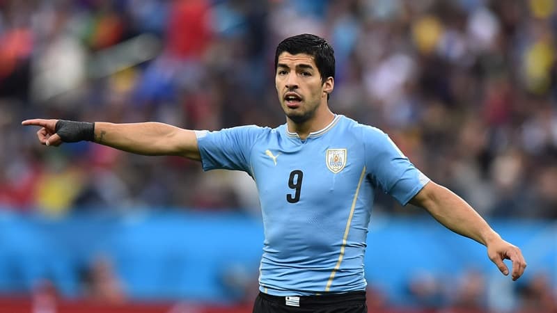 Luis Suarez Luis Suarez