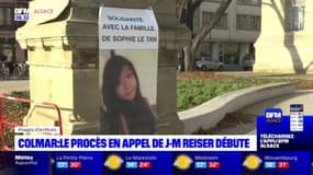 Assassinat de Sophie Le Tan: le procès en appel de Jean-Marc Reiser a débuté