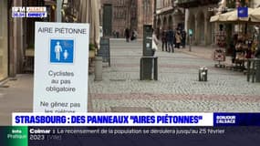 Strasbourg: des panneaux "aires piétonnes"