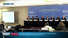 Rapport alarmant du GIEC: "Le réchauffement climatique est inéluctable, ce qu'on peut faire de mieux, c'est le limiter"