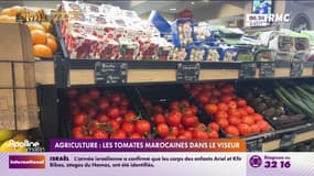 Le Maroc, invité d'honneur du Salon de l'Agriculture: cette décision qui crispe les producteurs