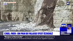 Tempête Ciaran: un pan de falaise s'est écroulé à Criel-sur-Mer