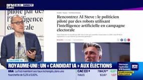 Culture IA : Royaume-Uni, un "candidat IA" aux élections, par Anthony Morel - 13/06