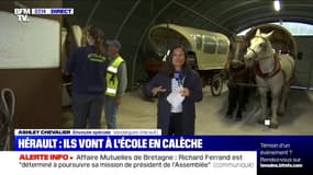 Dans l'Hérault, une centaines d'élèves se rendent à l'école... en calèche