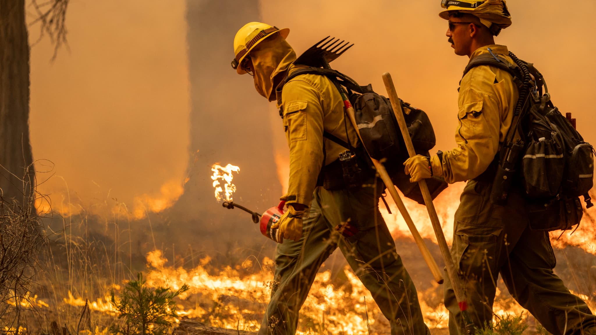 Les flammes grandissent rapidement alors que les pompiers allument un contre-feu sur le front est du Park Fire, le 28 juillet 2024 près de Chico, en Californie. 