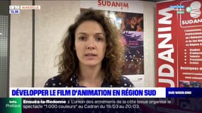 Développer le film d'animation en Provence-Alpes-Côte d'Azur