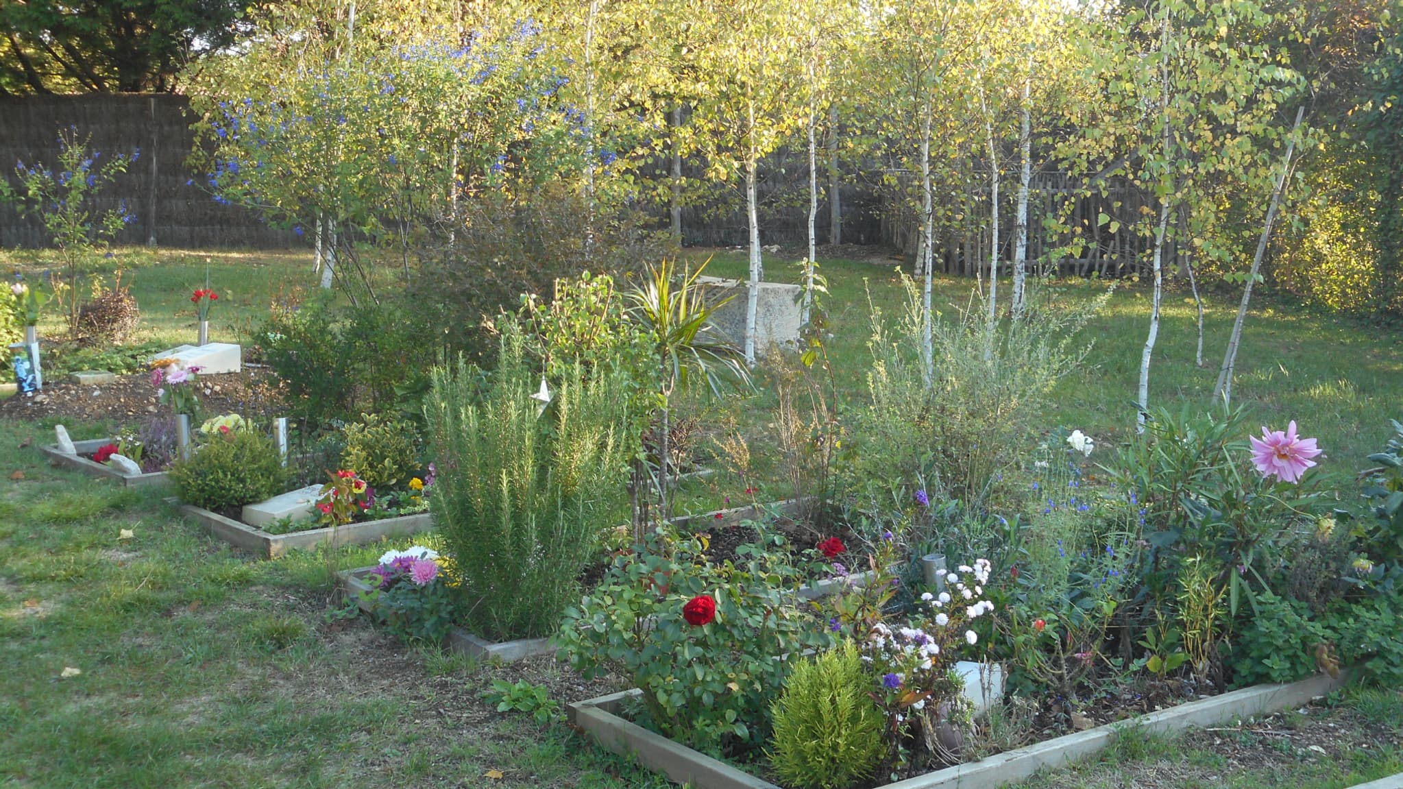 Des sépultures au cimetière naturel de Souché, à Niort.
