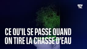 Voilà pourquoi il faut baisser la cuvette des toilettes avant de tirer la chasse