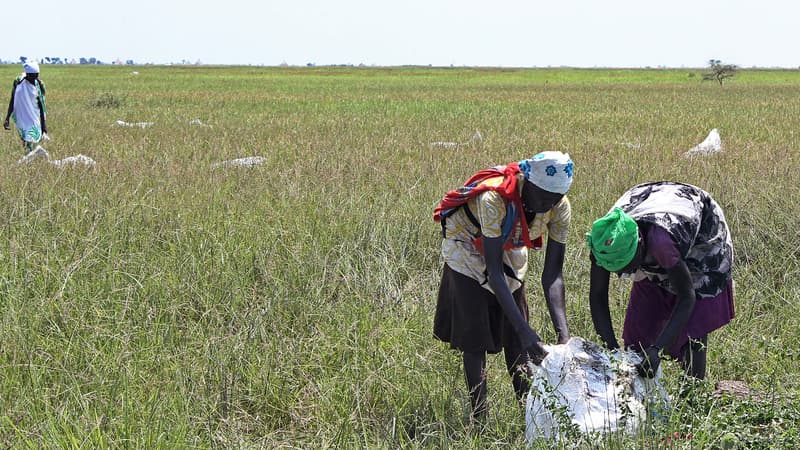 Des villageois près d'un colis d'aide humanitaire à Dablual, le 25 juillet 2015.