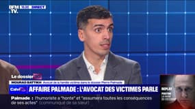 "Il y aura de très lourdes séquelles pour la famille" victime de l'accident impliquant Pierre Palmade, selon leur avocat