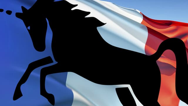 La France compte peu de licornes