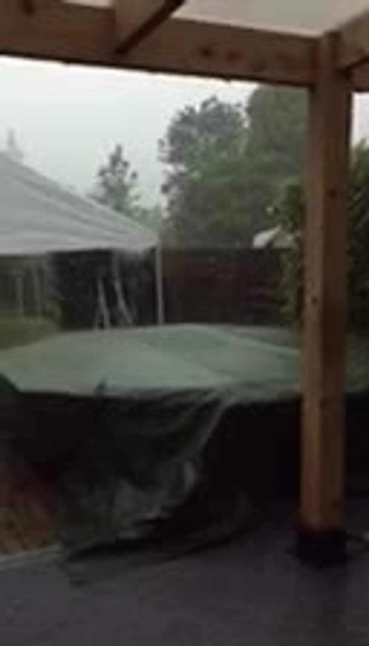 placeholder video