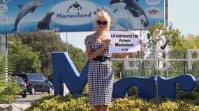 Pamela Anderson manifeste devant Marineland à Antibes, le 22 août 2017