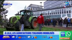 Lille: les agriculteurs toujours mobilisés ont stationné devant la Cité Marianne