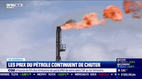 Les prix du pétrole continuent de chuter  