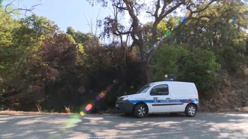 Un homme a été arrêté après avoir tenté d'allumer un feu de forêt au bord d'une route près de Cavalaire.