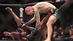 Sean O'Malley face à Aljamain Sterling