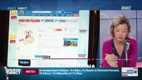 Dupin Quotidien : Vos cadeaux de Noël sur Internet, c'est maintenant - 13/11