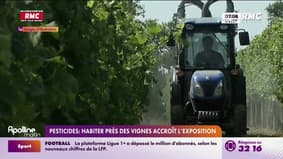 Pesticides : habiter près des vignes accroît l'exposition