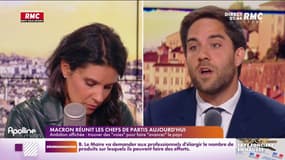Ménagé : "Demander aux Français s'ils veulent du projet de loi déposé par Marine Le Pen"