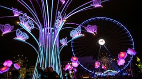 Une des installations de la "Fête des lumières" à Lyon, en 2017