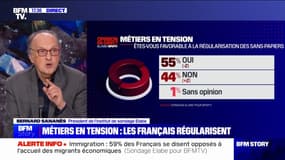 Immigration: 55% des Français sont "favorables à la régularisation des sans-papiers" (sondage Elabe/BFMTV)