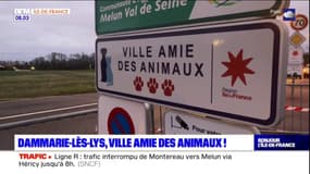 Seine-et-Marne: Dammarie-les-Lys, ville amie des animaux