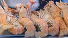 Tous les week-ends, découvrez un produit frais de nos régions et de la gastronomie française. Ce dimanche: la langoustine.