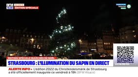 Strasbourg: le sapin de Noël choisi très tôt dans l'année