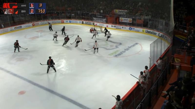 Hockey sur glace: irrésistibles, les Rapaces de Gap s'imposent face aux Ducs d'Angers