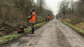 L'ONF a organisé une battue de sangliers dans la forêt de Nieppe (Nord). 