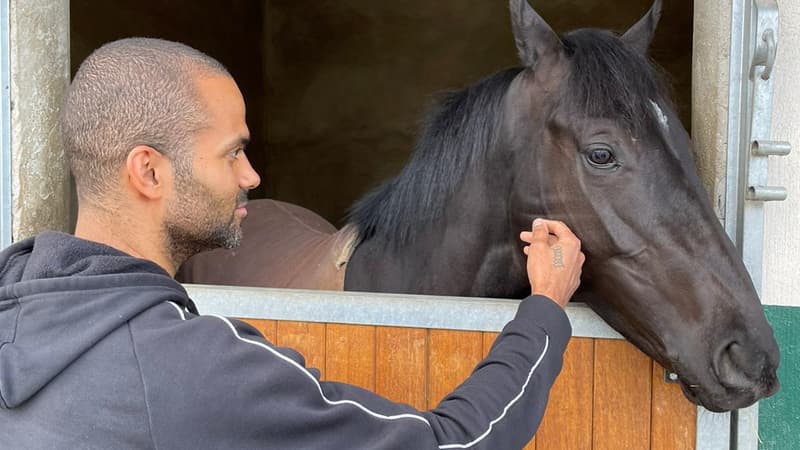 Tony Parker, nouvel ambassadeur d’Equidia et de France Galop