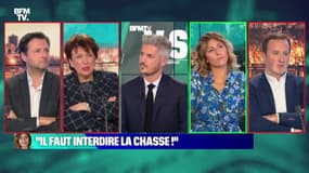 “Il faut interdire la chasse” - 08/01