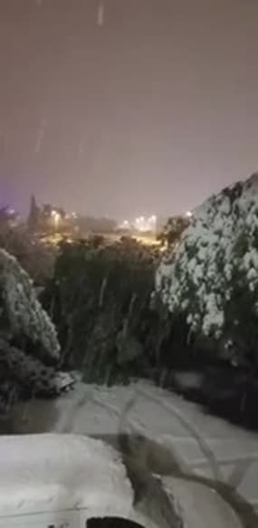 Pyrénées-Orientales: un arbre cède sous le poids de la neige à Prades - Témoins BFMTV