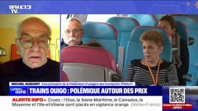 Hausse des prix des billets de train Ouigo: "On ne comprend pas la logique commerciale derrière cette politique de prix", affirme Michel Quidort (FNAUT)