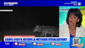 Loups: faut-il revoir la méthode d'évaluation? 