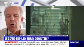 Bertrand Guidet (chef du service réanimation à l'hôpital Saint-Antoine): "Il est un peu tôt pour affirmer que le virus est moins virulent"
