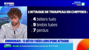Embrunais: 13 bêtes tuées lors d'une attaque de loup