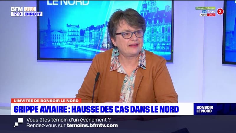 Grippe aviaire: "pas de cas en élevage" ou de "suspicion" dans le Nord
