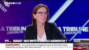 "Pas pour tous les Français, pas de manière automatique", Amélie de Montchalin sur l'augmentation du coût de la carte grise
