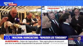 Salon de l'agriculture: "Les présidents passent, le porc noir de Bigorre reste", remarque avec un trait d'humour cet éleveur du sud-ouest