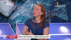 Déchets sur les routes: sommes-nous des porcs ? - 31/07