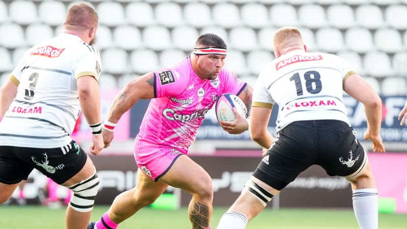 Stade Français: Roelofse proche de rejoindre Perpignan