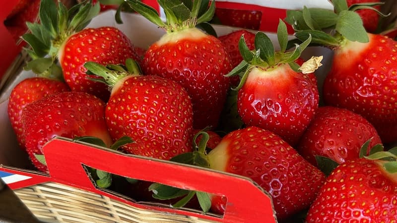 Les premières fraises sont en vente dans les Alpes-de-Haute-Provence.