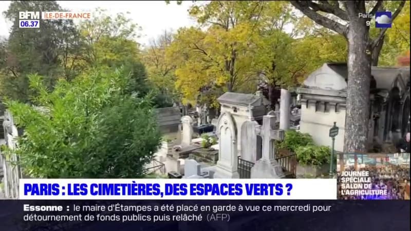 Paris: la mairie veut comptabiliser les cimetières comme des espaces verts