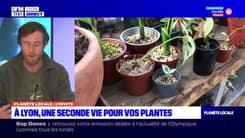 Planète Locale du lundi 6 mars 2023 - Lyon : L'agrivoltaïsme, une solution ?